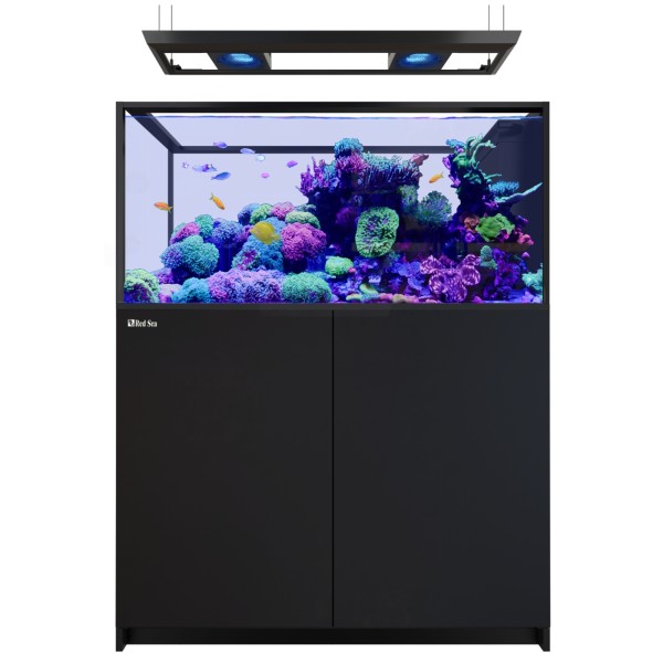 Red Sea REEFER MAX Peninsula 500 G3