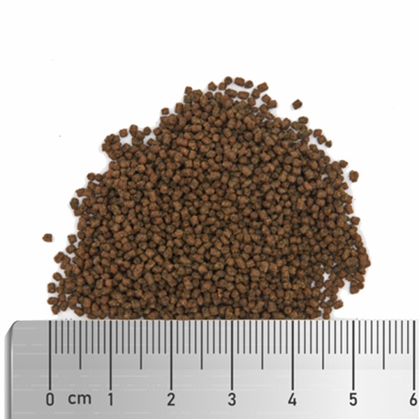 Fauna Marin Soft Spirulina