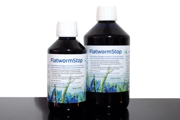 Korallenzucht Flatworm Stop