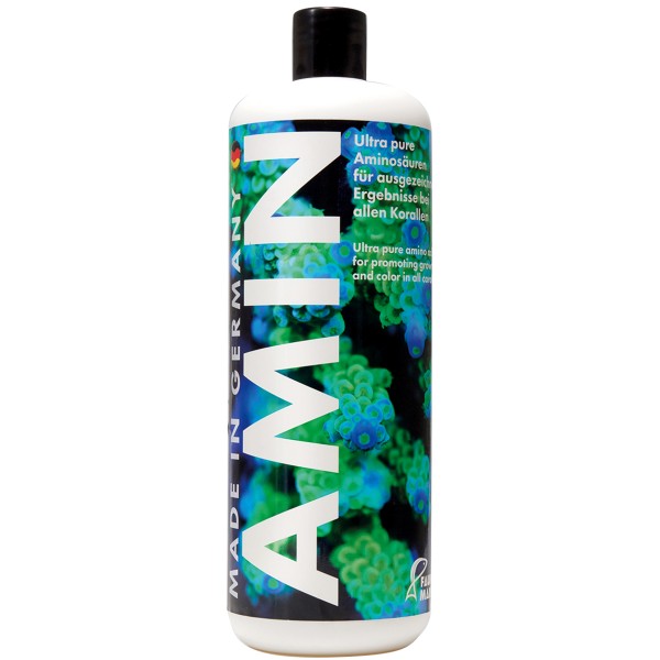 Fauna Marin Amin